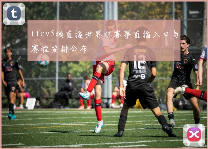 ttcv5线直播世界杯赛事直播入口与赛程安排公布