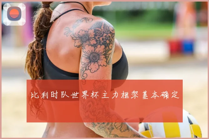 比利时队世界杯主力框架基本确定